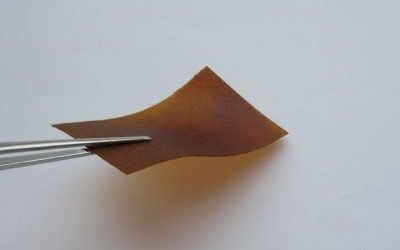 Mit Luzerne aus der Lausitz der Plastik auf den Feldern Herr werden!