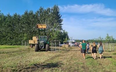 Vermarktung von Agroforstprodukten: Umfrage als Bestandsaufnahme