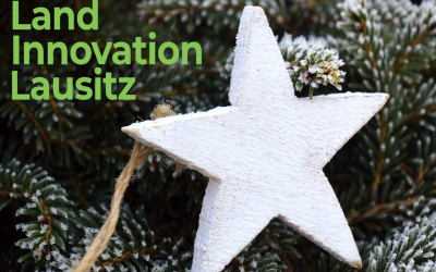 Frohe und erholsame Festtage und ein gesundes Jahr 2024!