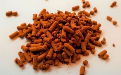 Neues von StabilOrg jetzt in der Lausitzer Rundschau