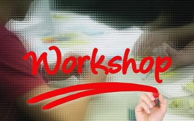 Workshop: Wie weiter mit der Bioökonomie in Brandenburg?