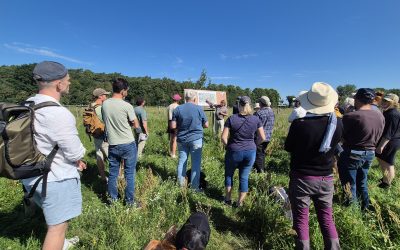 Rückblick: Agroforst-Sommerexkursion organisiert u. a. durch das LIL-Projekt AgroWert-Regio