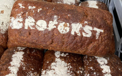 Mühlenführung und drittes Treffen der Vermarktungsinitiative für Agroforstprodukte in der Lausitz