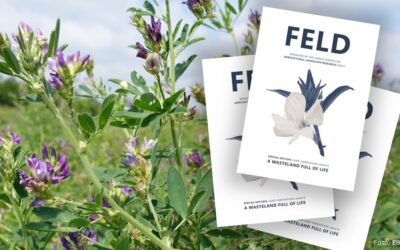 Land-Innovation-Lausitz im FELD-Magazin und auf querFELDein