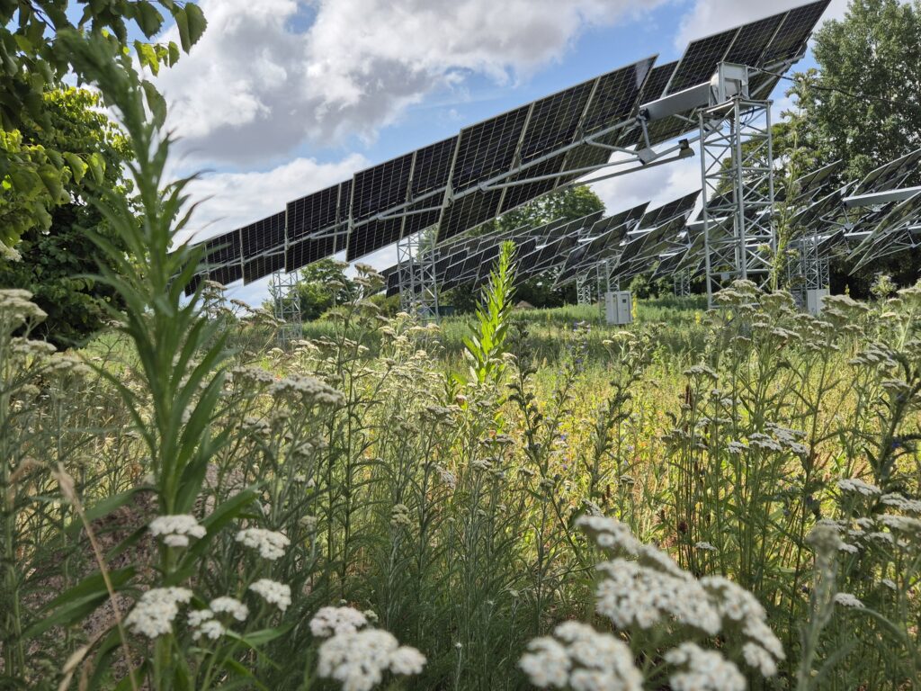 Multifunktionale Landwirtschaft