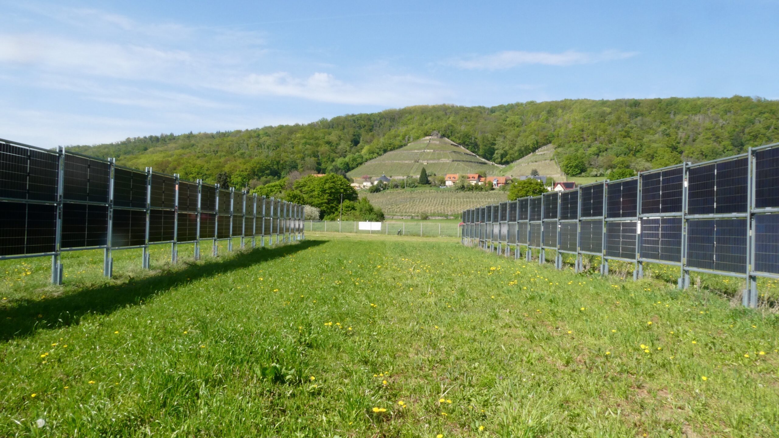 Fotos: Maik Veste | CEBra